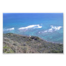 Search for diamond head posters Lighthouse