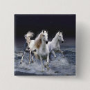 Search for horses running badges Animals