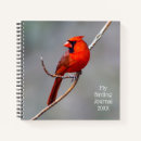 Search for cardinal notebooks Nature