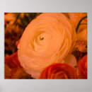 Search for surround posters Floral