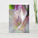 Search for gladiolus flowers cards Pink