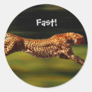 Search for fast animal stickers Wild