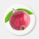 Search for pomegranate magnets Fruit