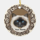 Search for birman cat Cats
