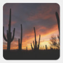 Search for saguaro stickers Sunset
