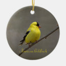 Search for bird christmas tree decorations Photography