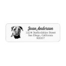 Search for bull terrier return address labels Animal