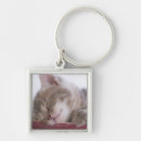 Search for kitten sleeping key rings Animal head