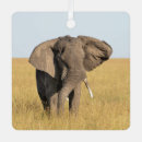 Search for elephant christmas tree decorations Safari