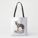 Search for wild dog Lycaon pictus