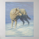 Search for arctic wolf posters Canine