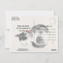 Search for cats sleeping postcards Kitten