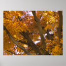 Search for virginia art Fall