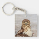 Search for red tail key rings Bird