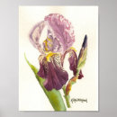 Search for purple iris art posters Botanical