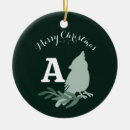 Search for blue bird christmas tree decorations Cardinal