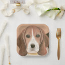 Search for beagle weddings Animal