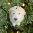 Search for goldendoodle christmas tree decorations Mix breed