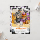 Search for dog halloween invitations Ghost