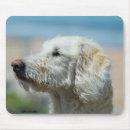 Search for labradoodle mousepads Animal