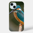 Search for profile iphone cases Bird