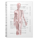 Search for anatomy and physiology Medical student