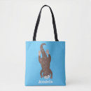 Search for otter bags Illustration