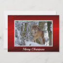 Search for wolf christmas cards Wildlife