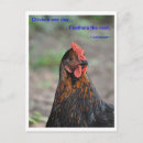 Search for chicken quotes cards invites Rooster