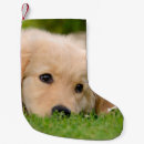 Search for golden retriever christmas stockings Funny