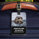 Search for otter gifts Wildlife reserve