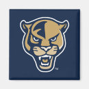 Search for panthers magnets Fiu