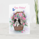 Search for cat basket cards Animal