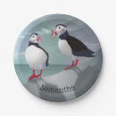 Search for puffin crafts party Auks