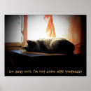 Search for sleeping cat Nap