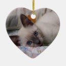 Search for siamese christmas tree decorations Kitty