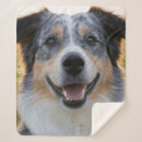 Search for dog picture blankets Pet