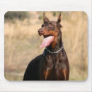 Search for doberman mousepads Pinscher