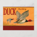 Search for duck hunter postcards Bird
