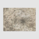 Search for environment tissue paper Region