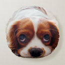 Search for cavalier king charles spaniel cushions Animal