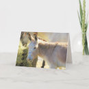 Search for delightful cards Cute