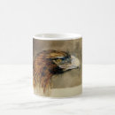 Search for golden eagle mugs Hawk