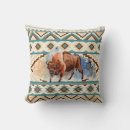 Search for tribal cushions Southwest