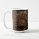 Search for echidna mugs Wildlife
