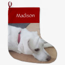Search for wear christmas stockings Xmas