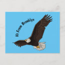 Search for flying eagle postcards Raptor