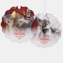 Search for cat lovers christmas tree decorations Kitten first christmas