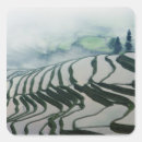 Search for rice field stickers Landscape