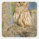 Search for cypress stickers Usa